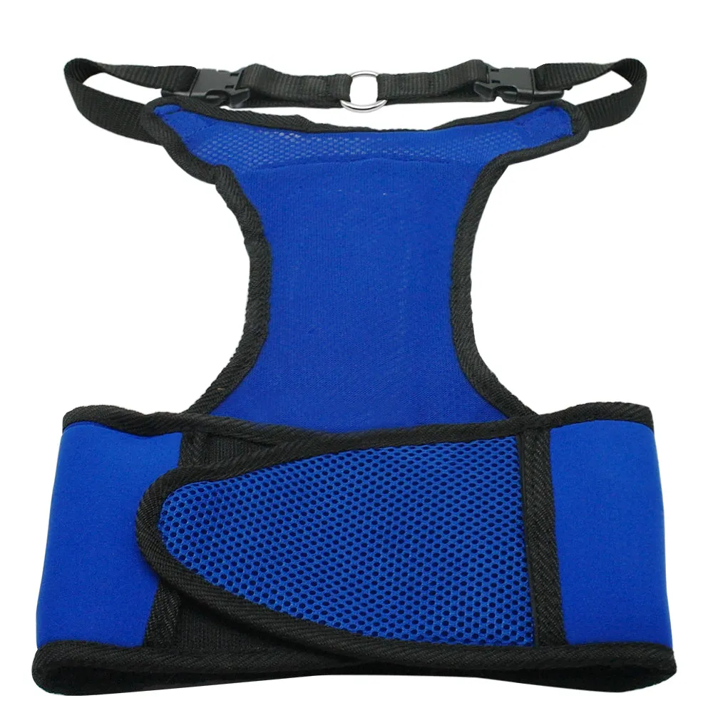 Cool Summer Dog Cooling Harness