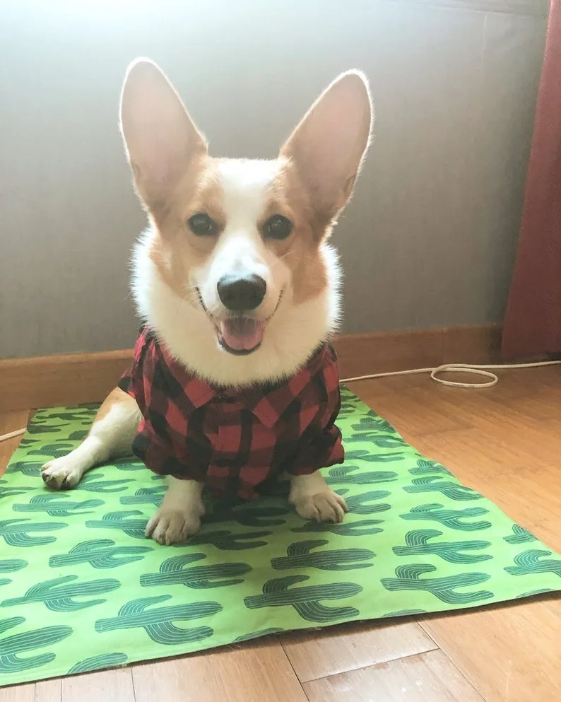 Plaid Gingham Flannel Button Shirt