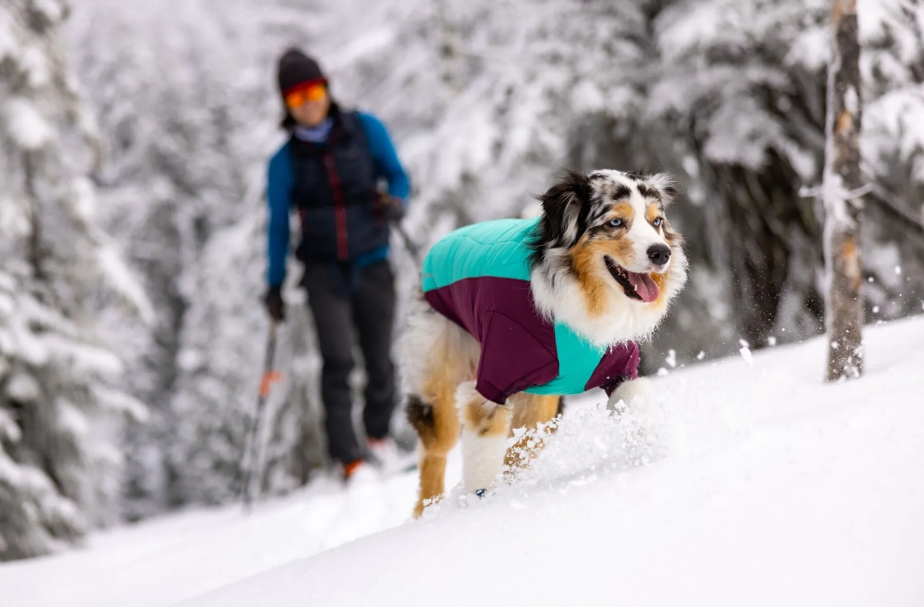 Ruffwear Powder Hound Orange Med (Customer Return)