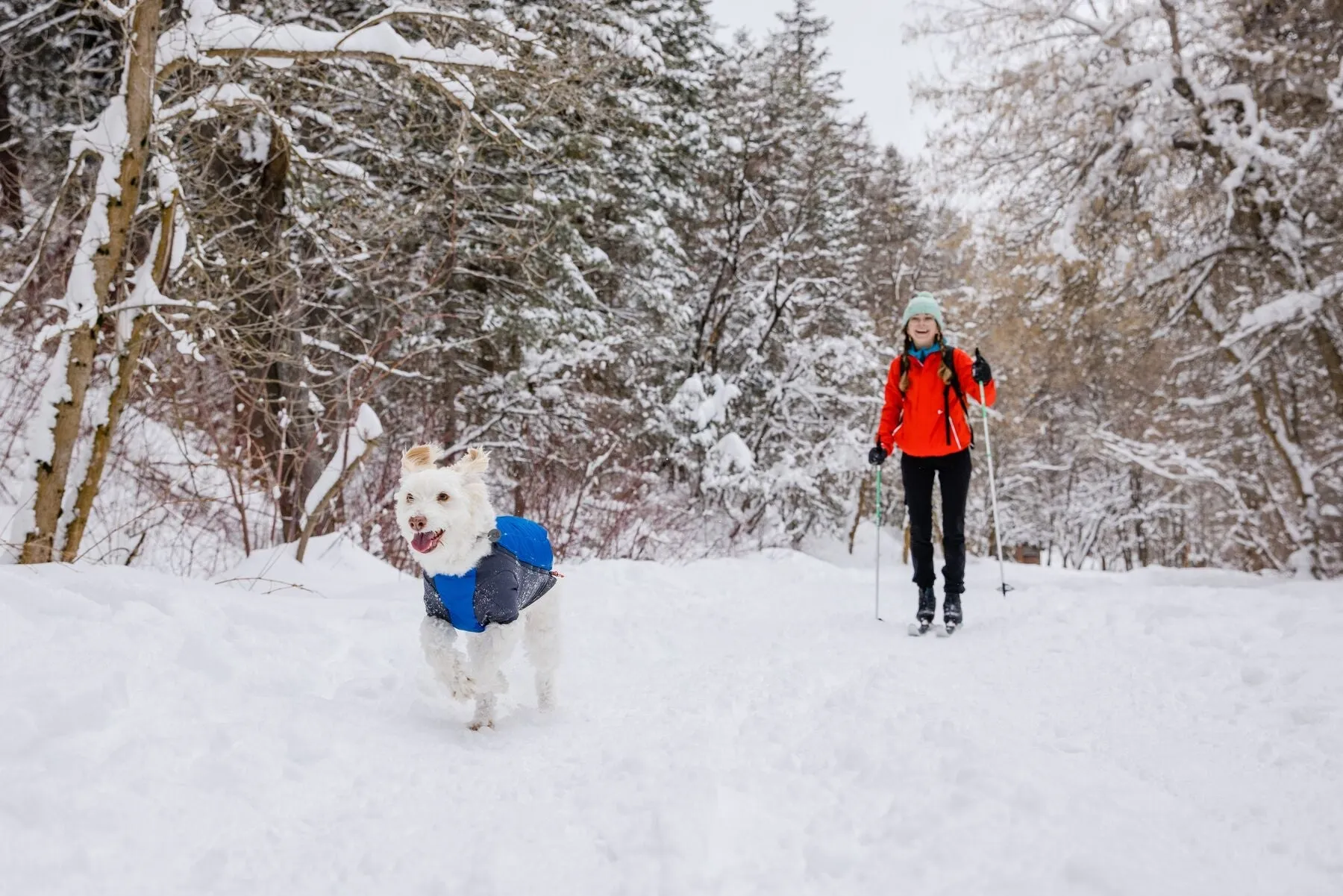 Ruffwear Powder Hound Orange Med (Customer Return)