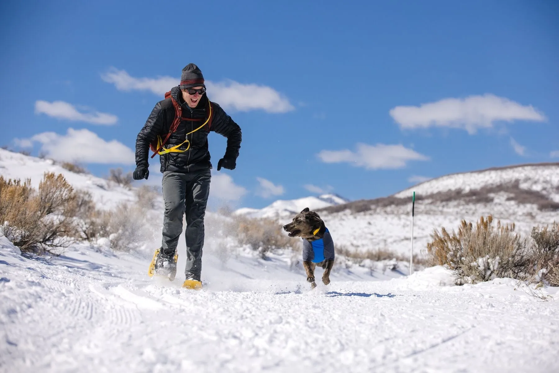 Ruffwear Powder Hound Orange Med (Customer Return)