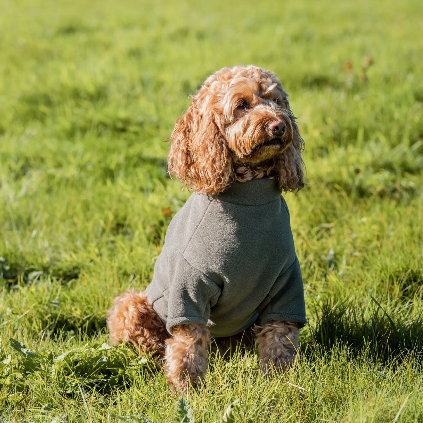 Stix Waterproof Fleece Coats for Lhasa Apsos