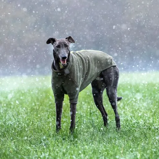 Stix Waterproof Fleece Coats for Whippets