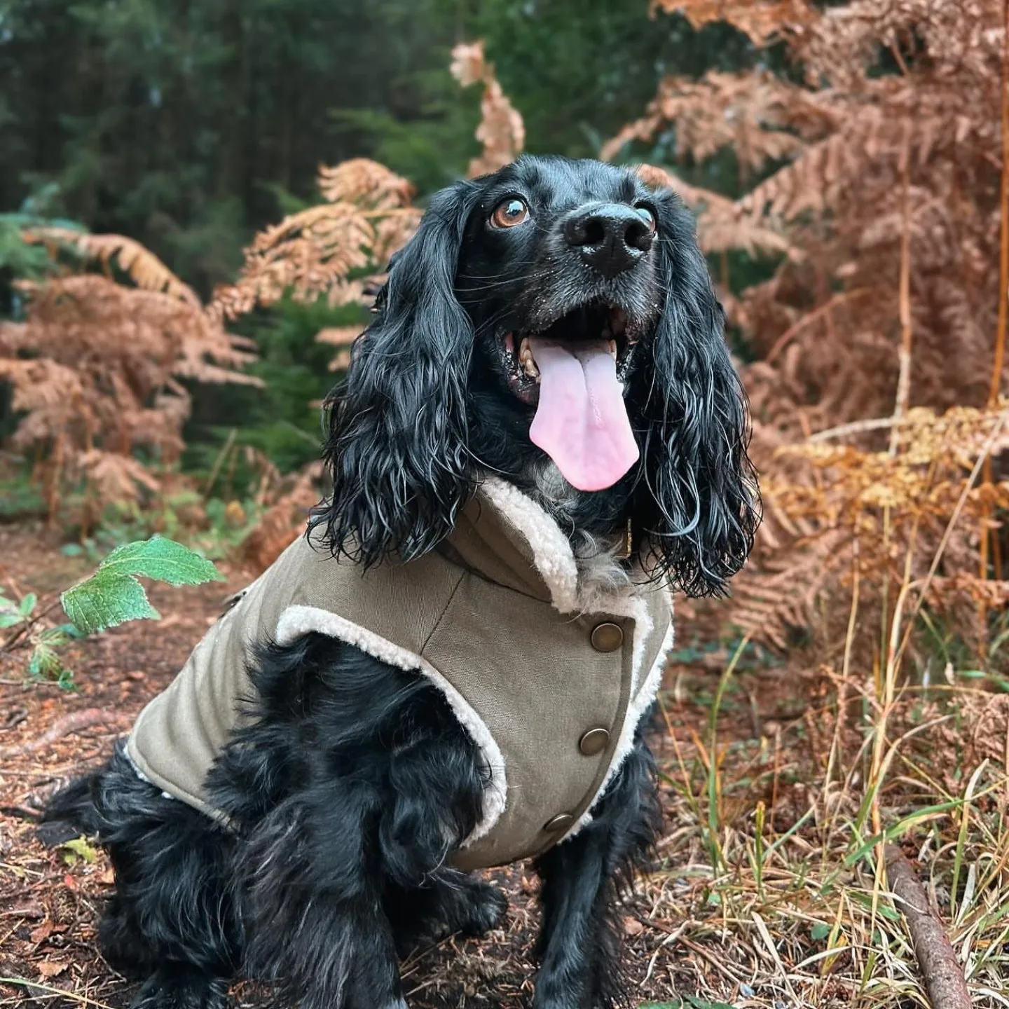 Workdog Insulated Utility Jacket Jackets